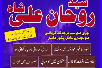 services_propositions_d_affaires Amil baba lahore, Am  